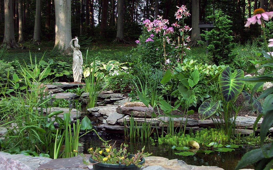 landscape design